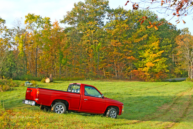 autumn red colors nissan 1996 pickup d21