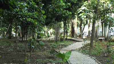 Hutan Kota Ahmad Yani