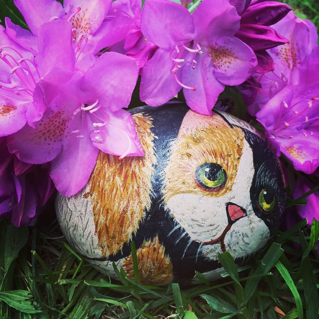I love #paintedrocks. I have had this one for 17 years. #cat #rock #nature #paint