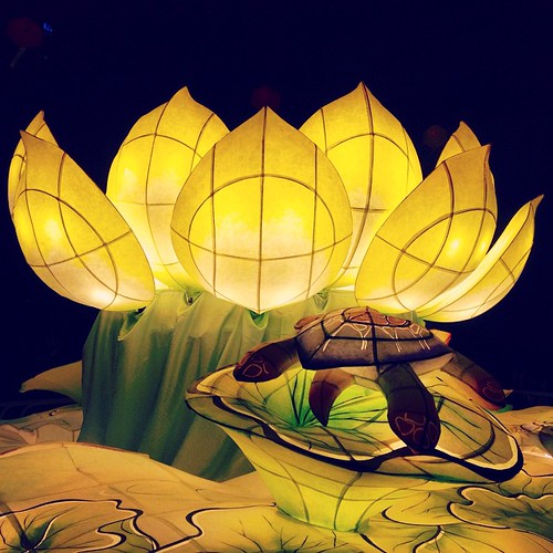      ... #Seoul #Lotus #Lantern #Festival # ©  Jude Lee