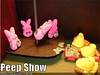funny-pictures-peep-show-easter-candy