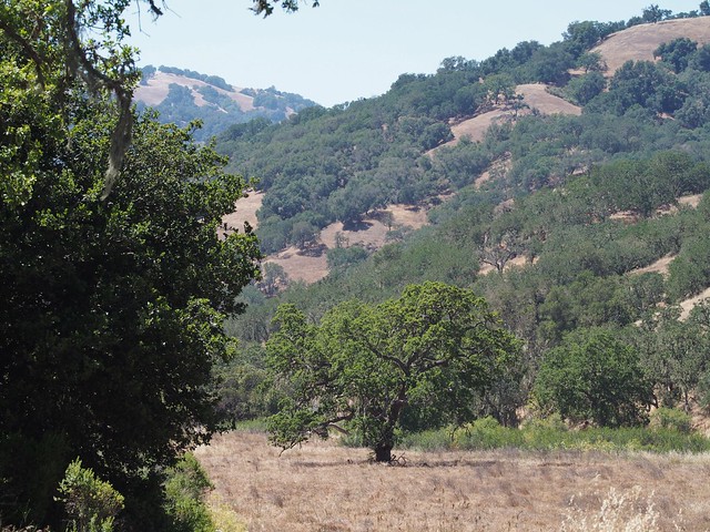 Henry Coe State Park, Hunting Hollow Entrance