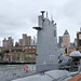 0659 USS Intrepid