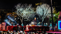 2016.12.01 Christmas Tree Lighting Ceremony, White House, Washington, DC USA 09324