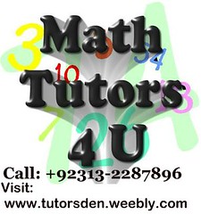 math calculus data management functions tutor in toronto