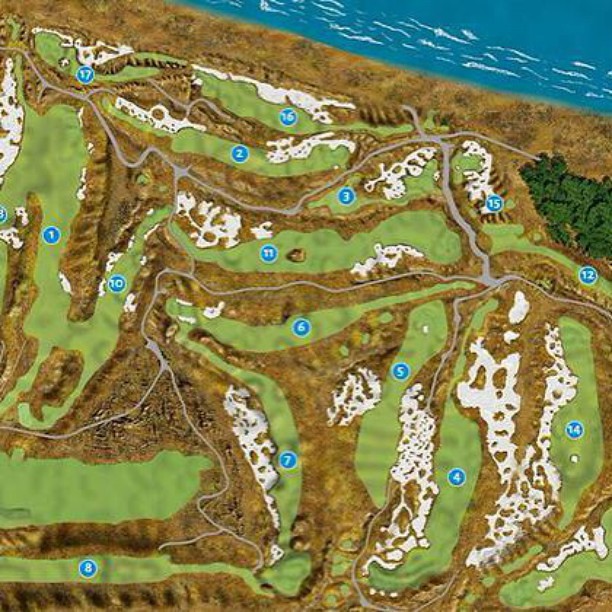 Chambers Bay virtual US Open golf course. #usopen #chambersbay #golfcourse #golf
