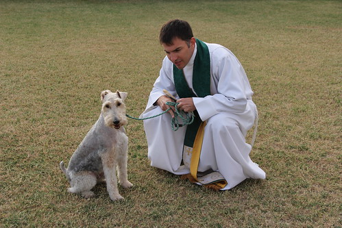 The blessing of the animals