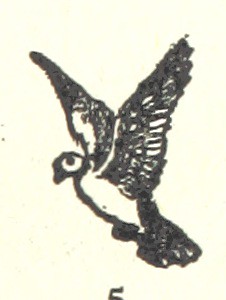 Image taken from page 21 of 'Messia. [A translation of Pope's  ©  Mechanical Curator's Cuttings