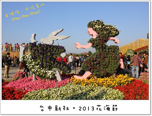台中新社‧2013花海節