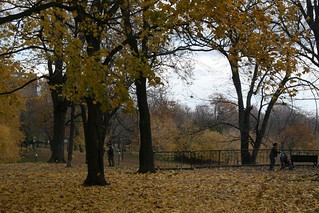 L'automne au parc La Fontaine-Gaétan Sauriol029