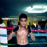 Filipino Boxer (Click on photo to see it larger and to it's full effect).