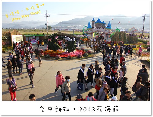 台中新社‧2013花海節