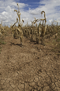From http://www.flickr.com/photos/41284017@N08/9679054379/: It's called a drought.  Get used to it...