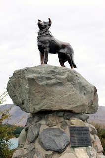 Dog Monument 2