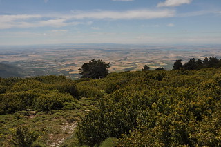 DSC_2834 Vistas de la Hoya de Huesca desde el Puchilibro