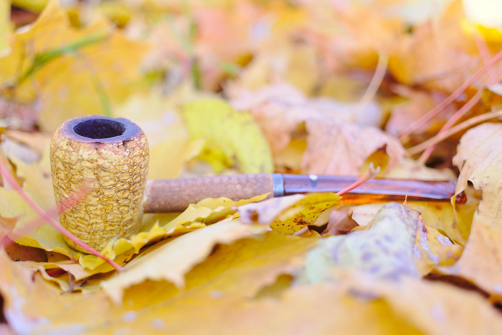 : Autumn pipe