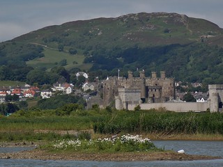 Conwy Castle from RSPB Conwy in Conwy, North Wales, UK - June 2013
