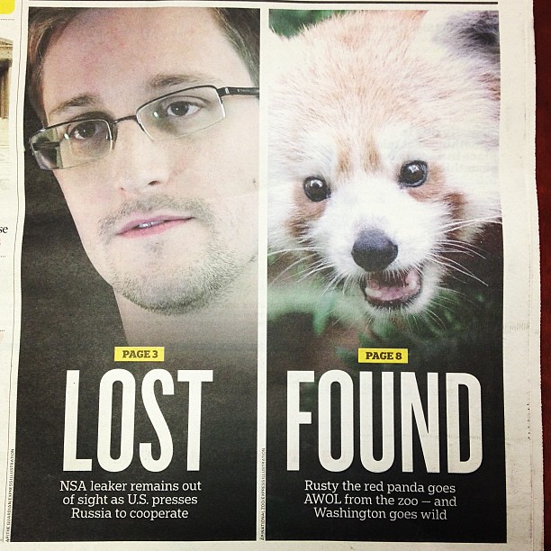 Pretty much the best Express cover ever. (And am happy Rusty the red panda was found!)