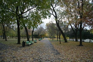 L'automne au parc La Fontaine-Gaétan Sauriol041