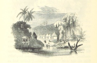 Image taken from page 306 of 'A Narrative of the Expedition sent by Her Majestys Government to the River Niger in 1841, under the command of Capt. H. D. Trotter. [With plates.]'