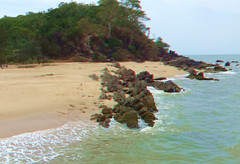 Palm Cove 2 3D