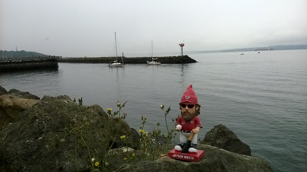 : Jayson Werth Gnome wonders about a sailboat ride in Seattle