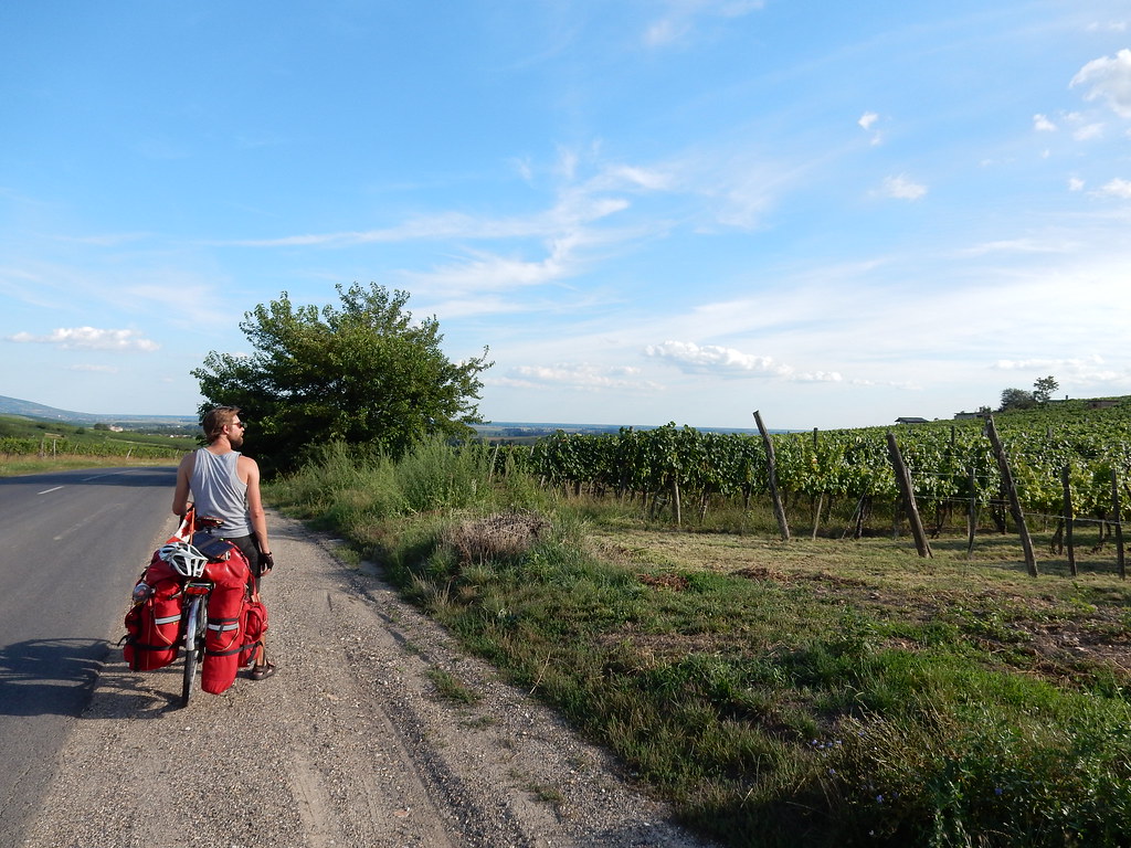 Cycling through the vineyards