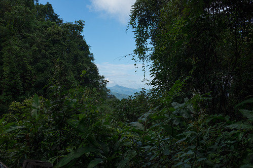 Thailand jungle ©  Still ePsiLoN