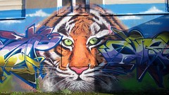 Graffitis - Grande-Synthe