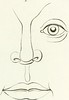 Image from page 172 of Lart de connaître les hommes par la physionomie (1835)