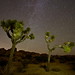 Dramatic night sky at Joshua Tree NP, California