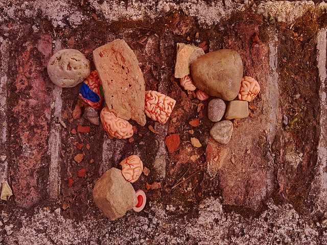 Brain Brick Stone Wall  at Fool`s Tower - Narrenturm Fleischfarben Mauerkopf Hirn Zermörschert Blutrot - Prokrustesbett