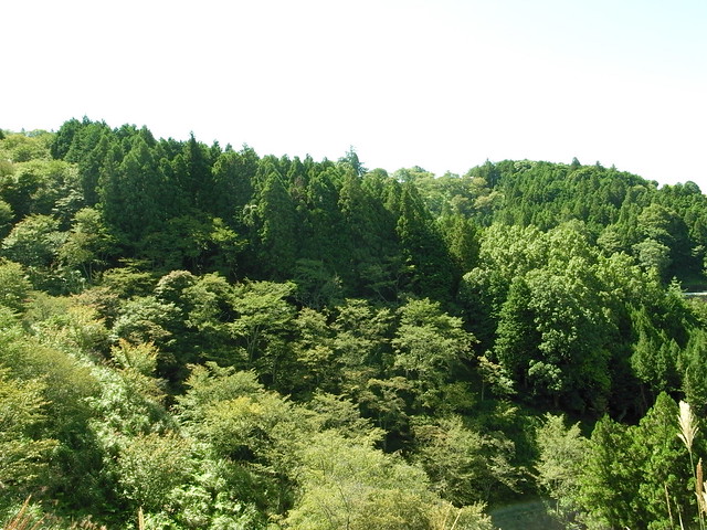 奈良 吉野町森林セラピーにいってきました。: NOTE