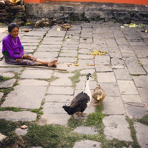   ... 2009   ...     #Travel #Memories #2009 #Pokhara # #Nepal    ... #Back #Street #Town #House #Empty #Space. #Normal #Ordinary #Life #Duck #Old #Woman ©  Jude Lee