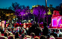 2016.12.01 Christmas Tree Lighting Ceremony, White House, Washington, DC USA 09283