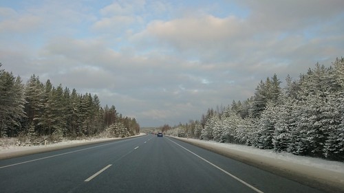 Winter road //  ©  Alexey Ivanov