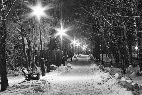 Winter park at night ©  Dmitriy Protsenko