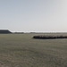 Hungarian countryside near Hortobagy using Lumix GX7