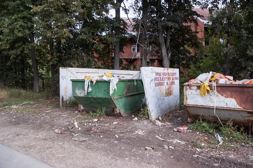 Clever people drop garbage into container ©  Konstantin Malanchev