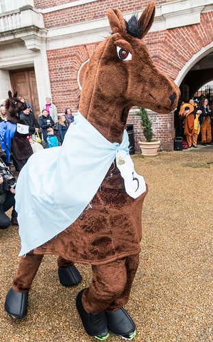 Greenwich Pantomime Horse race