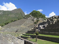 Machu Picchu <a style="margin-left:10px; font-size:0.8em;" href="http://www.flickr.com/photos/83080376@N03/21322338288/" target="_blank">@flickr</a>