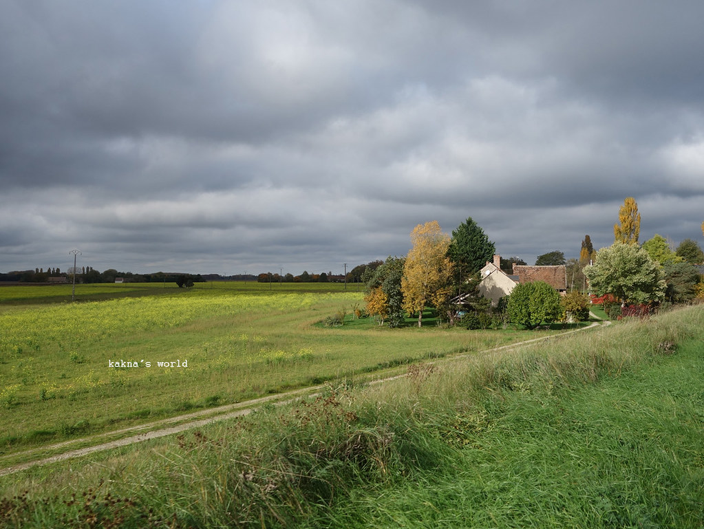 фото: Loire - green autumn
