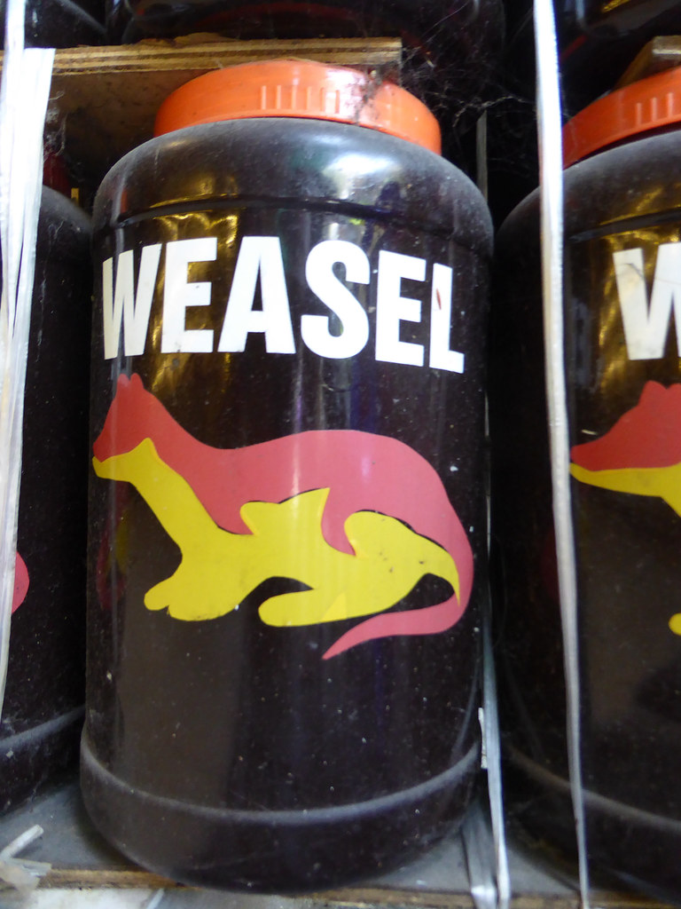 Weasel poo coffee - hmm delicious