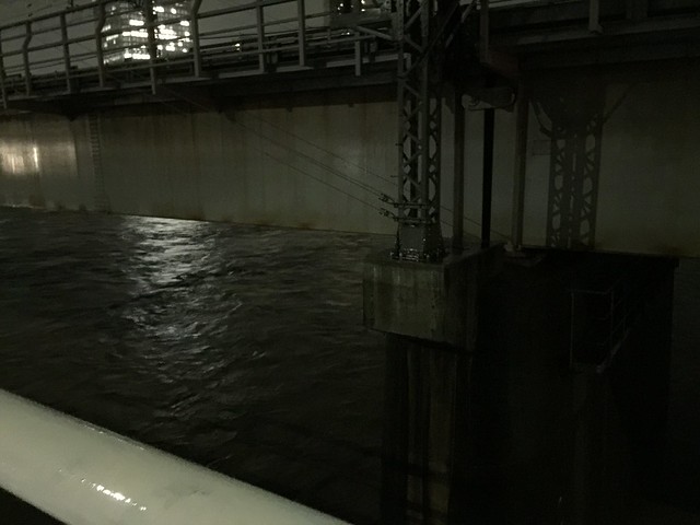 昨日の17時が多摩川の水位のピークだった...