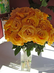 Ecuador-valentine's-roses