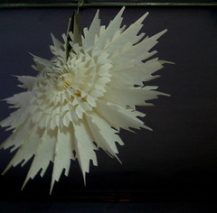 christmas, 9