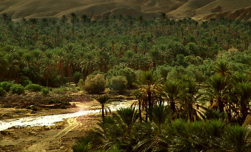 Oasis050 • <a style="font-size:0.8em;" href="http://www.flickr.com/photos/30735181@N00/5261785554/" target="_blank">View on Flickr</a>