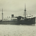 Minnipa (Steamship)