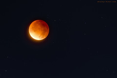 Red Moon !