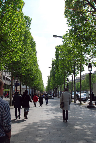 Avenue Des Champs Elysees8